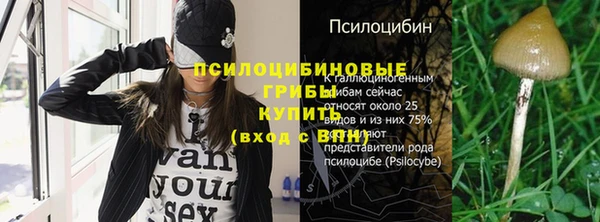 меф Инсар