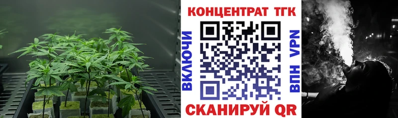 KRAKEN   Арамиль  ТГК Wax 