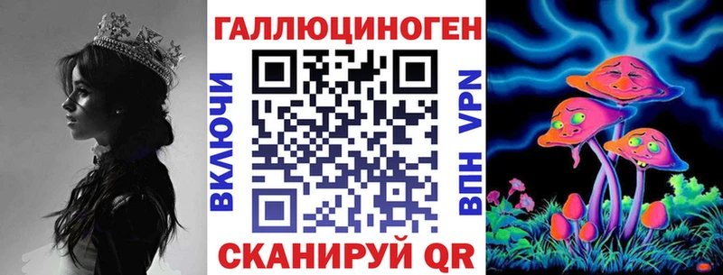 где купить Арамиль Галлюциногенные грибы Psilocybine cubensis